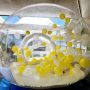 Bubble house 1
