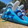 Dolphine Pool Slide 1 Dolphine Pool Slide 1