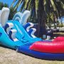 Dolphine Pool Slide 2 Dolphine Pool Slide 2