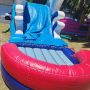 Dolphine Pool Slide 4 Dolphine Pool Slide 4